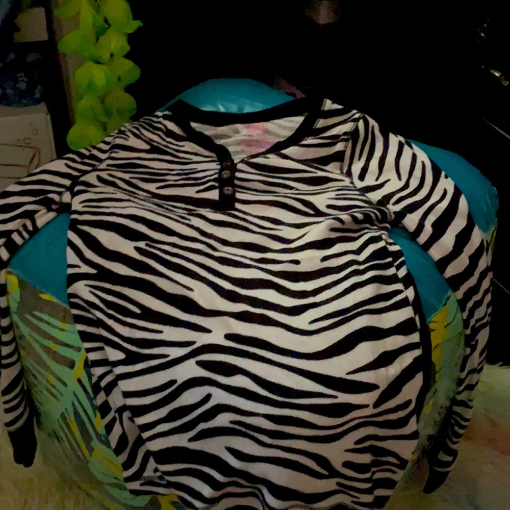 Zebra